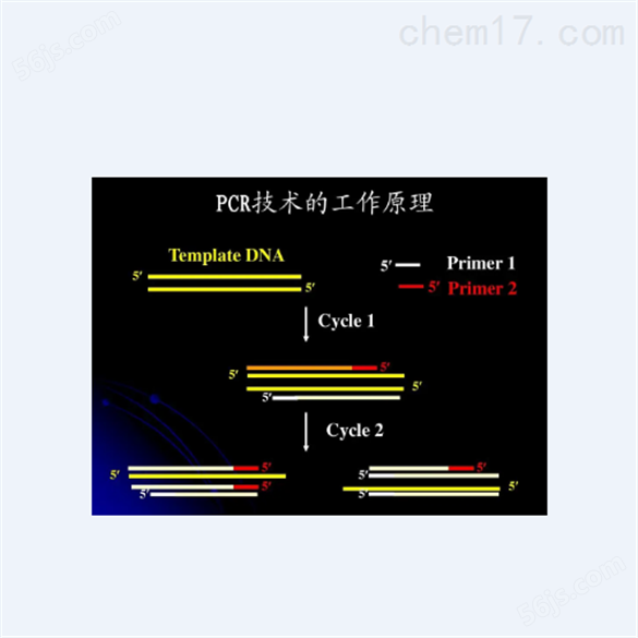 日本荧光PCR检测试剂盒多少钱
